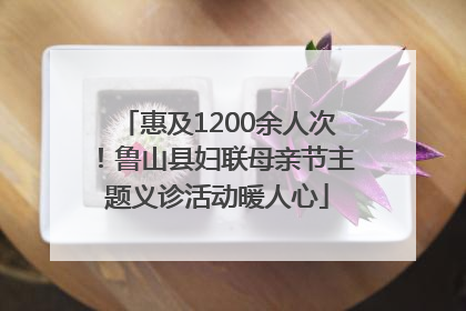 惠及1200余人次！鲁山县妇联母亲节主题义诊活动暖人心