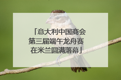 意大利中国商会第三届端午龙舟赛在米兰圆满落幕