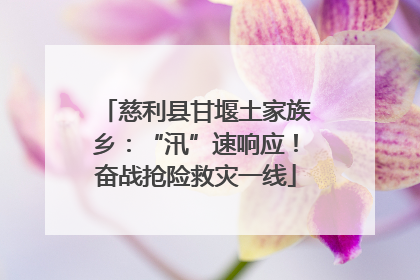 慈利县甘堰土家族乡：“汛”速响应！奋战抢险救灾一线