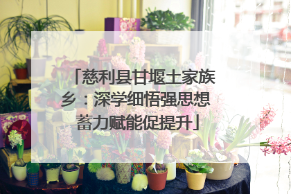 慈利县甘堰土家族乡：深学细悟强思想 蓄力赋能促提升