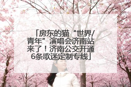 房东的猫“世界/青年”演唱会济南站来了！济南公交开通6条歌迷定制专线