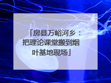 房县万峪河乡：把理论课堂搬到烟叶基地现场