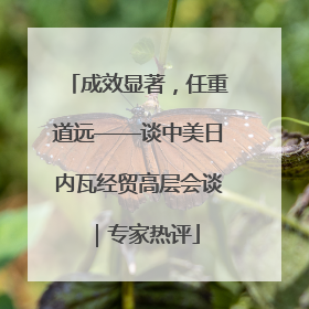 成效显著，任重道远——谈中美日内瓦经贸高层会谈｜专家热评