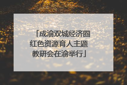 成渝双城经济圈红色资源育人主题教研会在渝举行