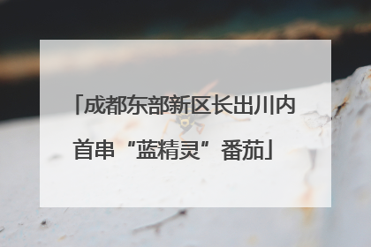 成都东部新区长出川内首串“蓝精灵”番茄