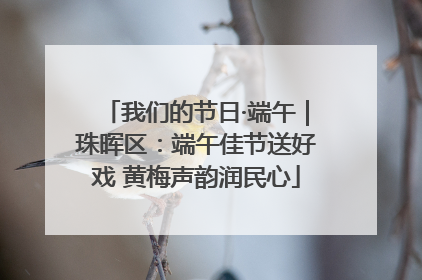 我们的节日·端午｜珠晖区：端午佳节送好戏 黄梅声韵润民心