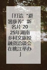 打造“避暑康养”新名片 2025年湖南乡村文旅投融资洽谈会在桃江举办