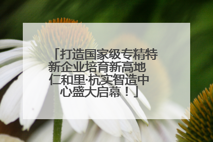 打造国家级专精特新企业培育新高地 仁和里·杭实智造中心盛大启幕！