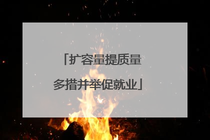 扩容量提质量 多措并举促就业