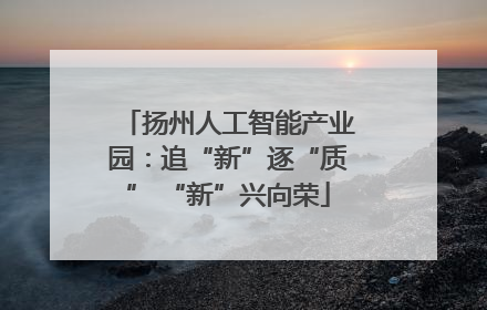 扬州人工智能产业园：追“新”逐“质” “新”兴向荣