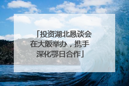投资湖北恳谈会在大阪举办，携手深化鄂日合作