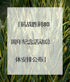 抗战胜利80周年纪念活动总体安排公布