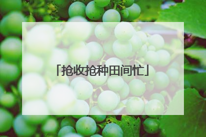 抢收抢种田间忙