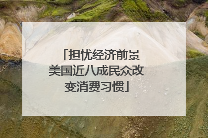 担忧经济前景 美国近八成民众改变消费习惯