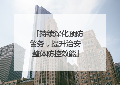 持续深化预防警务，提升治安整体防控效能