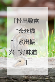 挂出致富 “金丝线” 煮出振兴“好味道”