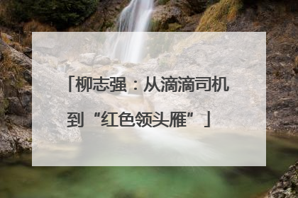 柳志强：从滴滴司机到“红色领头雁”