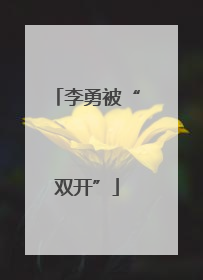李勇被“双开”