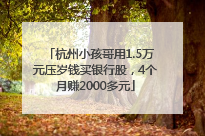 杭州小孩哥用1.5万元压岁钱买银行股，4个月赚2000多元