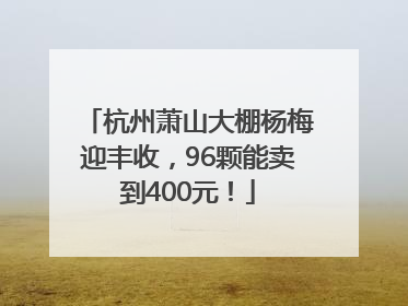 杭州萧山大棚杨梅迎丰收，96颗能卖到400元！