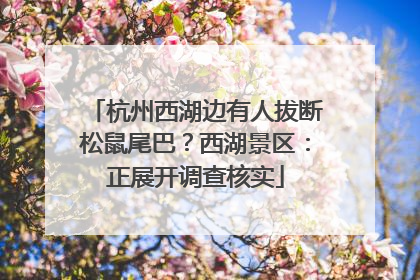 杭州西湖边有人拔断松鼠尾巴？西湖景区：正展开调查核实
