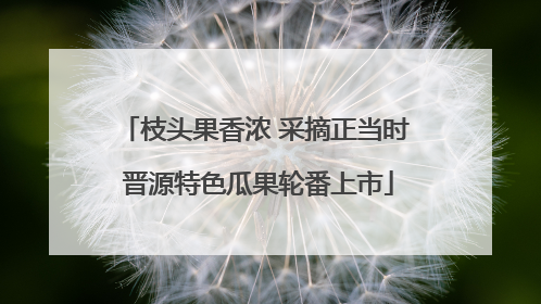 枝头果香浓 采摘正当时 晋源特色瓜果轮番上市