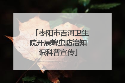 枣阳市吉河卫生院开展蜱虫防治知识科普宣传