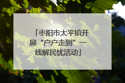 枣阳市太平镇开展“户户走到”一线解民忧活动