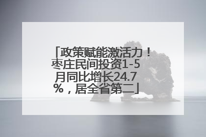 政策赋能激活力！枣庄民间投资1-5月同比增长24.7%，居全省第二