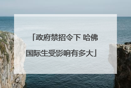 政府禁招令下 哈佛国际生受影响有多大