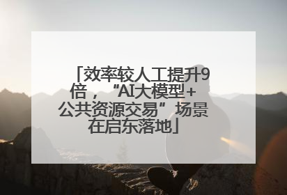 效率较人工提升9倍，“AI大模型+公共资源交易”场景在启东落地