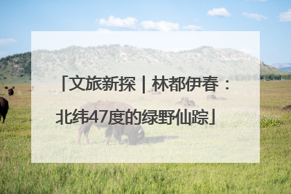 文旅新探｜林都伊春：北纬47度的绿野仙踪