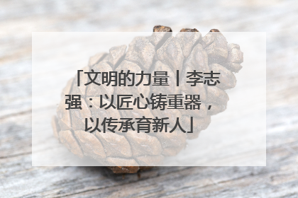 文明的力量丨李志强：以匠心铸重器，以传承育新人