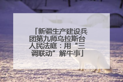 新疆生产建设兵团第九师乌拉斯台人民法庭：用“三调联动”解牛事