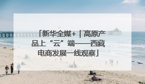 新华全媒+｜高原产品上“云”端——西藏电商发展一线观察