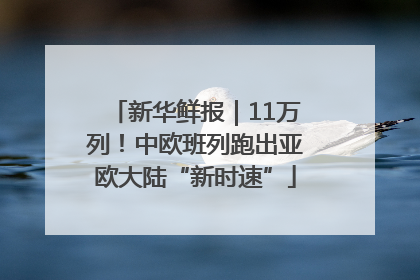 新华鲜报｜11万列！中欧班列跑出亚欧大陆“新时速”