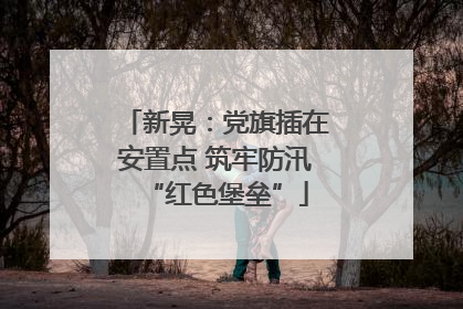新晃：党旗插在安置点 筑牢防汛“红色堡垒”