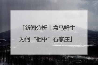 新闻分析丨盒马鲜生为何“相中”石家庄