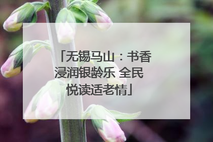 无锡马山：书香浸润银龄乐 全民悦读适老情
