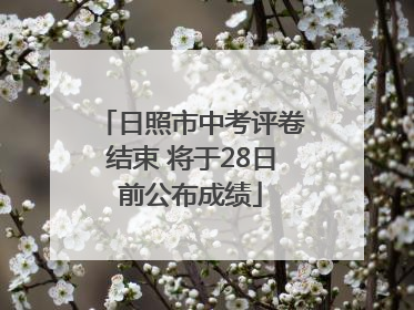日照市中考评卷结束 将于28日前公布成绩