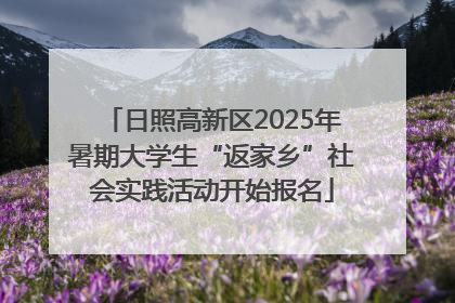 日照高新区2025年暑期大学生“返家乡”社会实践活动开始报名