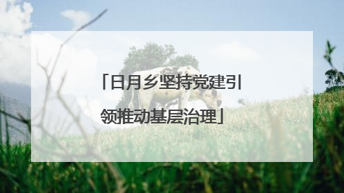 日月乡坚持党建引领推动基层治理