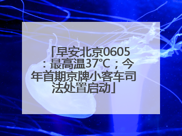 早安北京0605：最高温37℃；今年首期京牌小客车司法处置启动