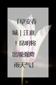 早安春城｜注意！昆明将出现强降雨天气