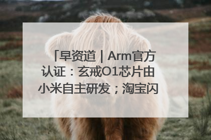 早资道｜Arm官方认证：玄戒O1芯片由小米自主研发；淘宝闪购联合饿了么日订单超4000万