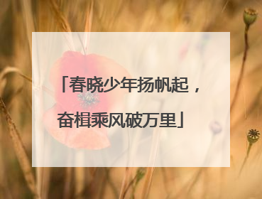 春晓少年扬帆起，奋楫乘风破万里