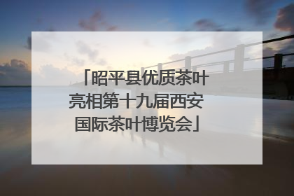 昭平县优质茶叶亮相第十九届西安国际茶叶博览会