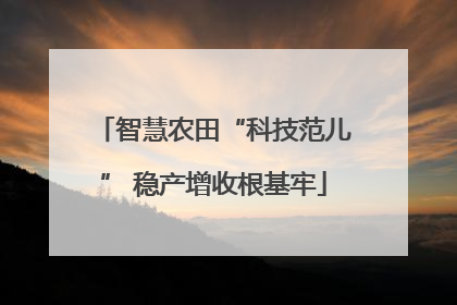 智慧农田“科技范儿” 稳产增收根基牢