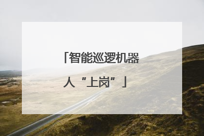 智能巡逻机器人“上岗”