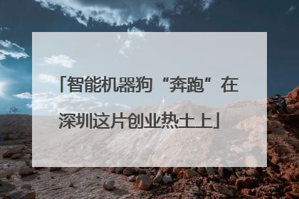智能机器狗“奔跑”在深圳这片创业热土上